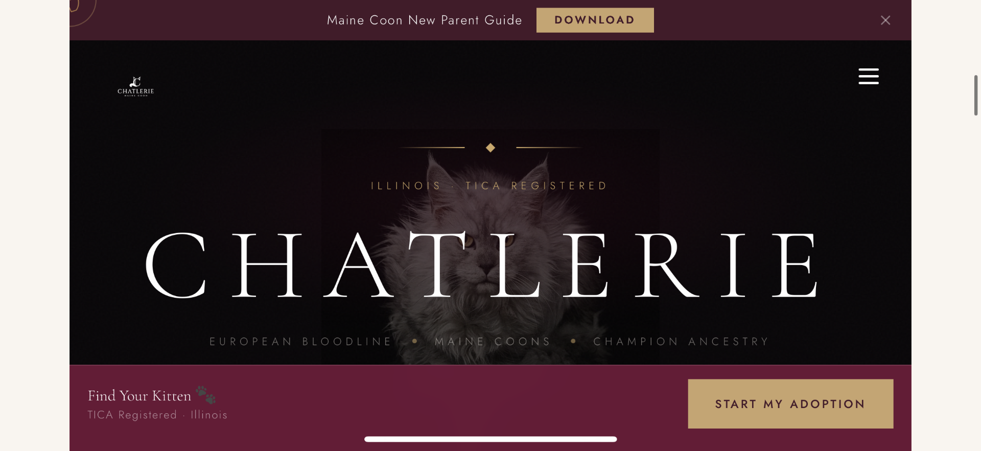 Chatlerie homepage screenshot